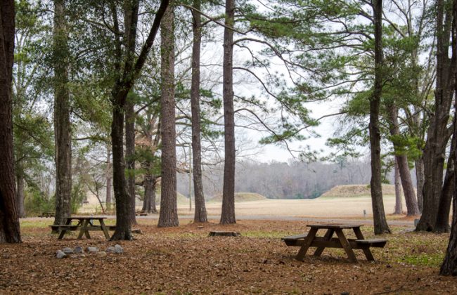 picnic tables at the campsite